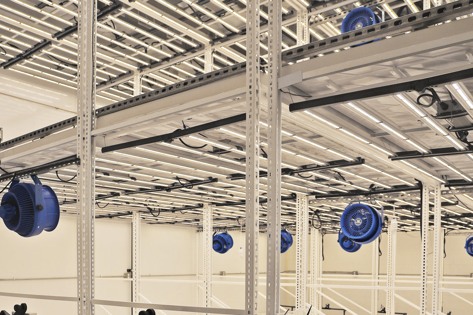 Blue oscillating air-circulation fans mounted on racks inside a commercial indoor grow room with vertical farming lighting infrastructure