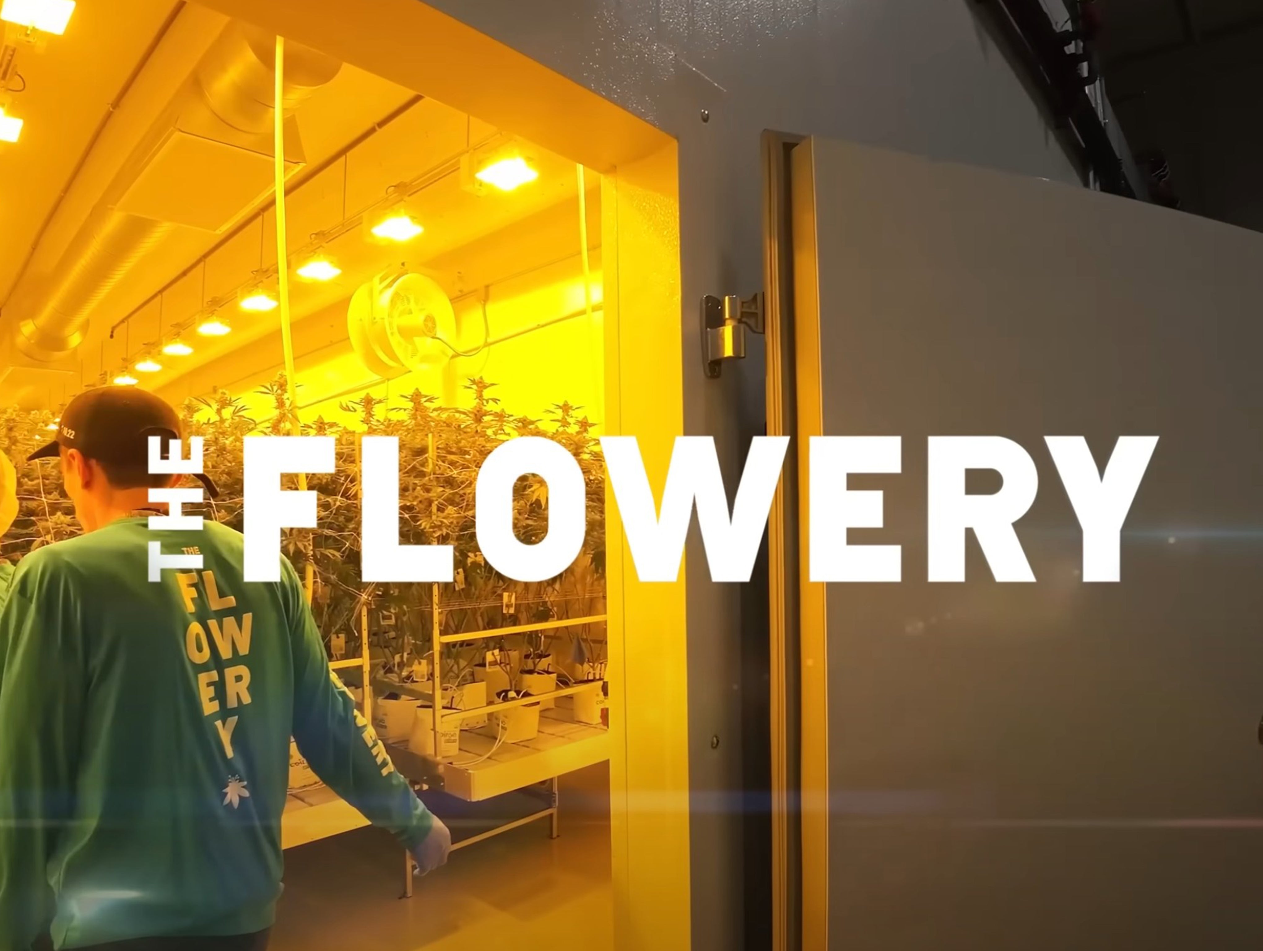 Worker entering a brightly lit indoor grow room with cultivation tables and ventilation fans visible inside