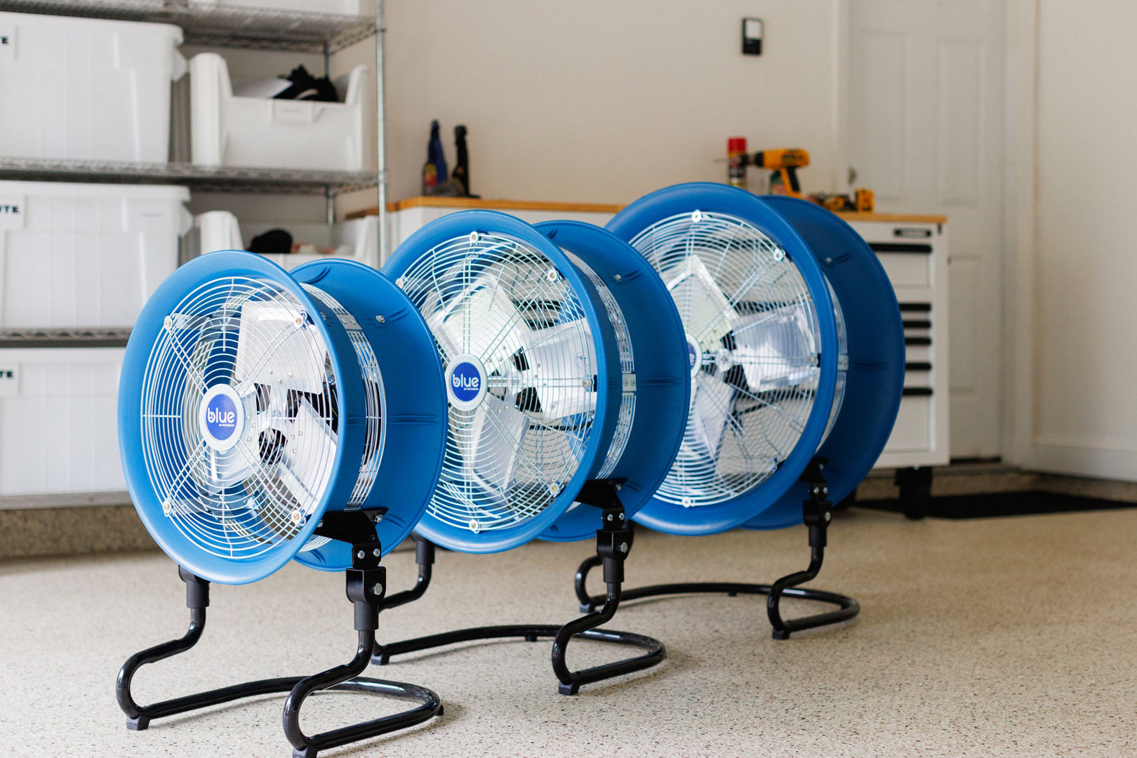 Three blue industrial fans on stands in a home garage
